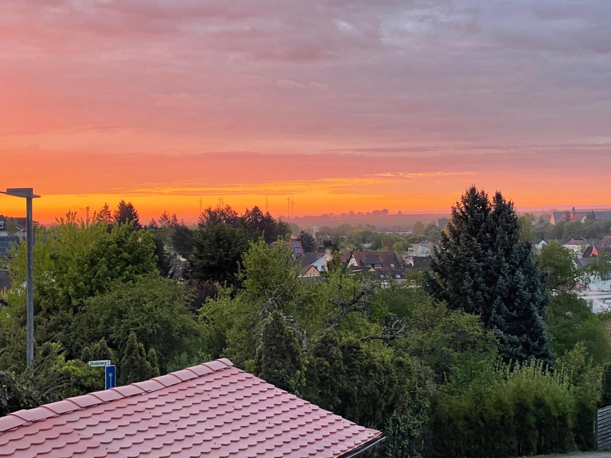 Haus Valentina 1 Daire Bad Bergzabern Dış mekan fotoğraf